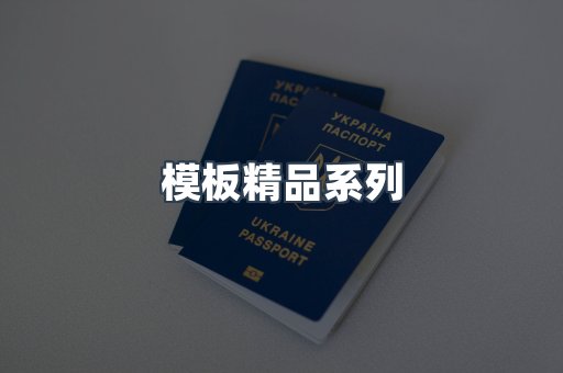 模板精品系列